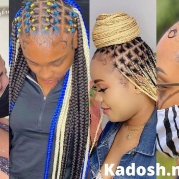 Hairstyle 2022 : 70+ catchy and Stylish long  braid ideas to try next